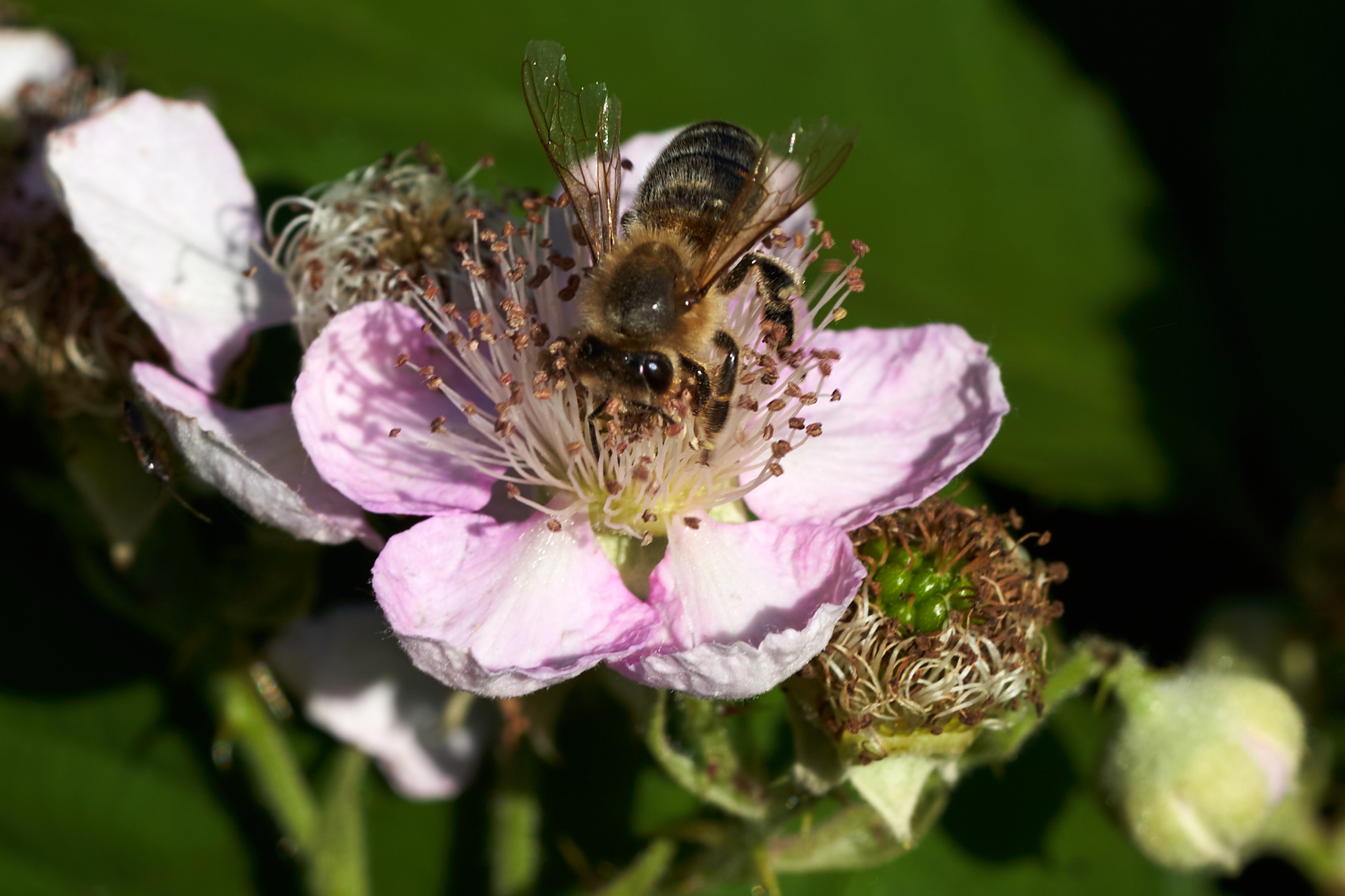 Landschaftspark Nord 0151